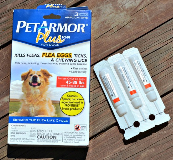 » Protect your pups with Pet Armor Plus IGR