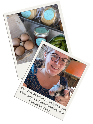 Brittany, a Northwoods homesteader and homeschooling mom, smiling while holding a small spotted piglet, with polaroid-style photos of fresh farm eggs and garden produce in the background.