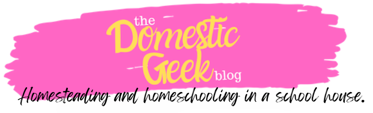 The Domestic Geek Blog