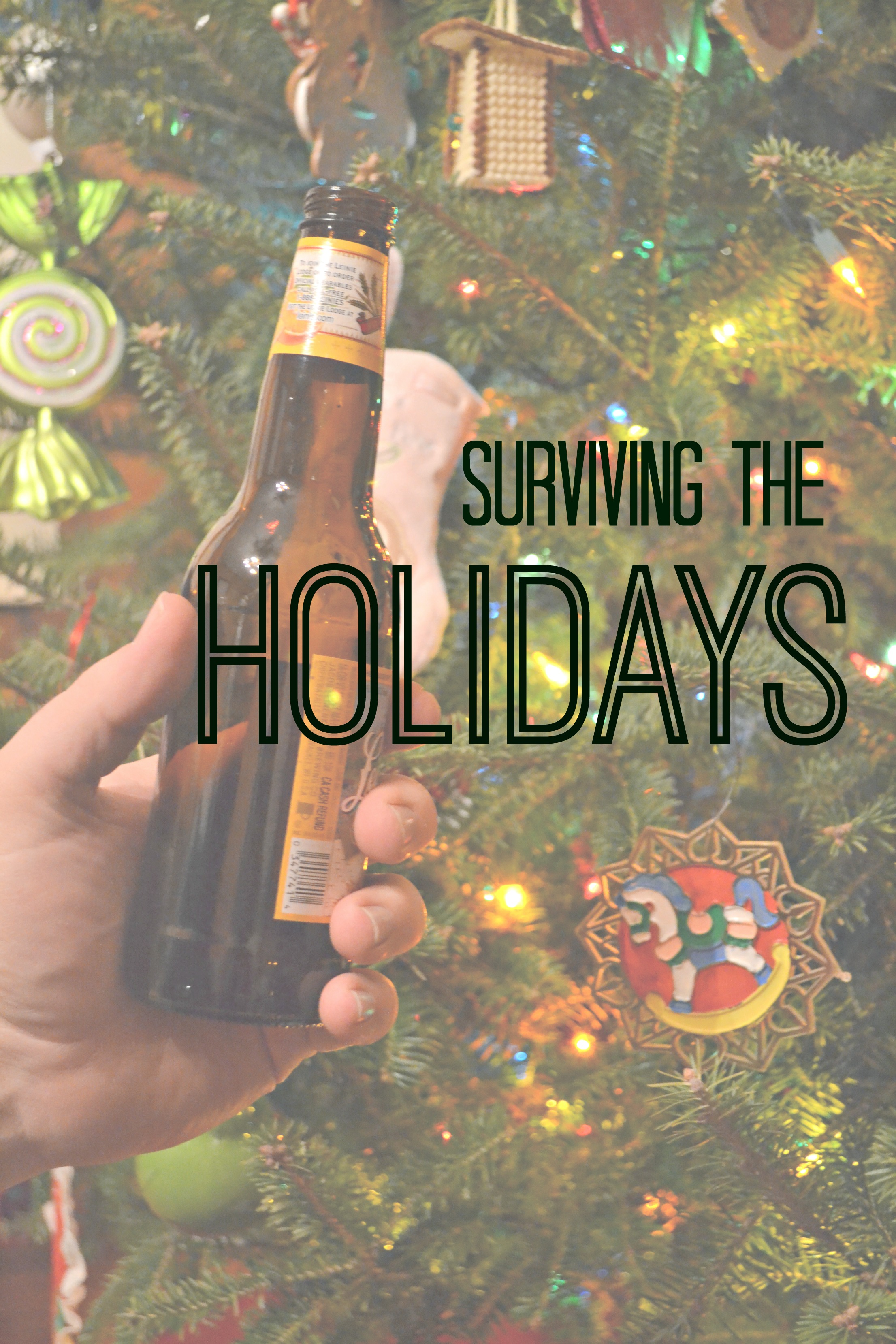 Surviving The Holidays - The Domestic Geek Blog